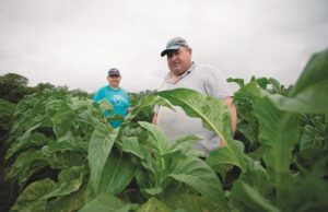 Nova safra é de boas expectativas