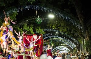 Parceria entre entidades viabiliza decoração natalina em Santa Cruz