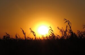 Defesa Civil de Santa Cruz atualiza dados da estiagem