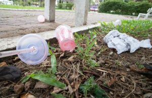 Conscientização é o caminho para sustentabilidade