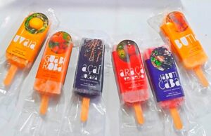 Frutas nativas: Cooperativa Ecovale volta a vender picolés