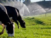 Dados relativos a 2018 indicam que PIB do RS cresceu 2%