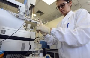 Anvisa publica alerta de risco após confirmar caso de Candida auris