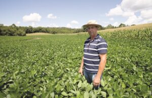 Clima tem sido favorável para soja