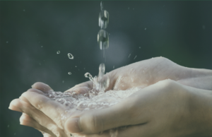 Sicredi Vale do Rio Pardo lança linha de crédito voltada para água nas propriedades