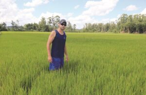 Apesar da chuva, estiagem preocupa