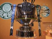 Palmeiras decidirá Copa do Brasil em casa contra Grêmio