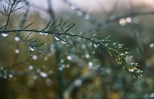 Estado terá forte calor e temporais isolados nos próximos dias
