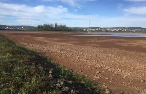 Há um ano, Lago Dourado sofria com a seca