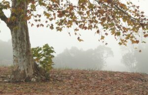 Outono começa com clima ameno na região