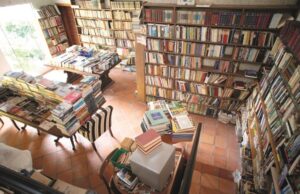 Uma data para lembrar dos guardiões do conhecimento