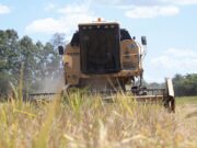 PIB do Rio Grande do Sul cai 7% em 2020