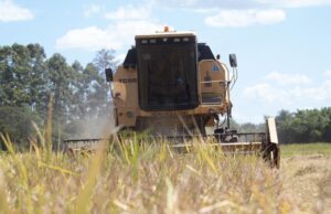 PIB do Rio Grande do Sul cai 7% em 2020