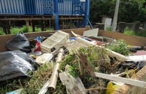 Mutirão enche caminhão com materiais que acumulam água em Rio Pardinho