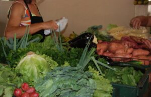 Feira Rural de Linha Santa Cruz vai começar na próxima quarta-feira