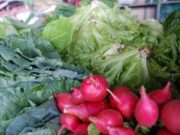Feira Rural de Linha Santa Cruz vai começar nesta quarta-feira
