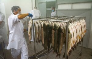 Venda de peixe nas feiras rurais começa hoje em Santa Cruz do Sul