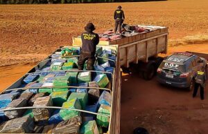 Justiça destina mais de R$ 19 milhões para o combate às drogas