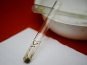 Santa Cruz do Sul registra aumento de casos de dengue