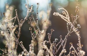 Boletim de agrometeorologia prevê possibilidade de primeiras geadas ainda neste abril