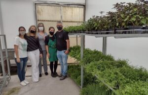 Prefeitura investe na manutenção de hortas interativas