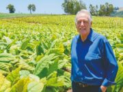 Preço competitivo foi fator que impulsionou exportações do tabaco