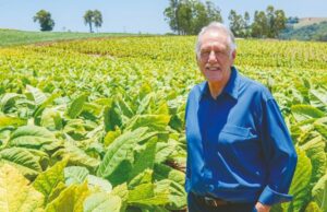 Preço competitivo foi fator que impulsionou exportações do tabaco