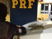 PRF prende traficante na BR-386 que venderia droga em Santa Cruz do Sul