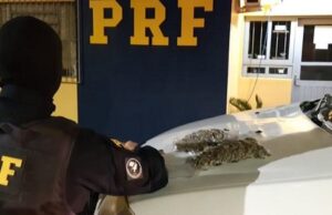 PRF prende traficante na BR-386 que venderia droga em Santa Cruz do Sul