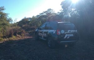 Corpo de mulher é encontrado em área de mata