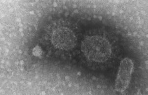 Instituto confirma variante indiana em navio ancorado no Maranhão