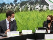 OIE oficializa Rio Grande do Sul como zona livre de aftosa sem vacinação