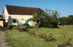 Empreendimentos rurais vão receber consultoria técnica