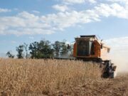 Exportações do agronegócio gaúcho registram alta de 42% no segundo trimestre de 2021