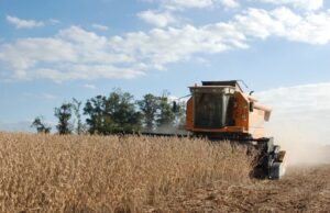 Exportações do agronegócio gaúcho registram alta de 42% no segundo trimestre de 2021