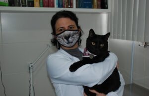 Frio reacende alerta de manter as vacinas dos pets em dia