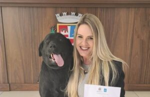 Está em vigor lei que proíbe animais acorrentados em Santa Cruz