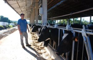 Neste inverno, produtor de leite espera aumento na comercialização