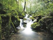 Minimizar a poluição significa possibilitar ao planeta a capacidade de resiliência