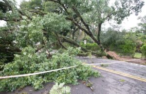 Temporal em Santa Cruz causa estragos e deixa parte do Município sem energia elétrica