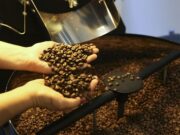 Consumo mundial de café atinge volume de 167,58 milhões de sacas