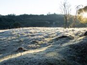 Baixas temperaturas: Inverno começa nesta segunda-feira