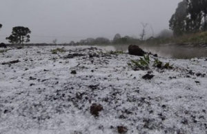 Santa Catarina registra primeira neve de 2021