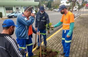 Semass realiza plantio de muda na Semana Municipal de Meio Ambiente
