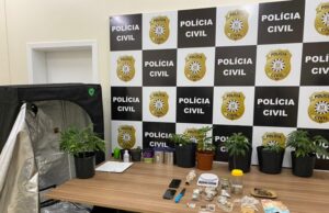 Plantação de maconha é encontrada em apartamento no Universitário