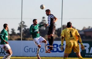 Vale taça! Tudo ou nada nos Plátanos