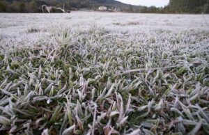 Frio intenso será protagonista nos próximos dias
