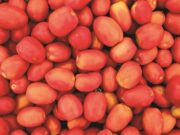 Carne bovina, tomate e leite puxam elevação da cesta básica em Santa Cruz
