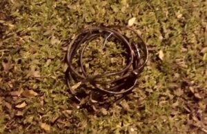 Roubo de fios é detectado novamente na área central