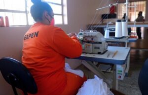 Apenadas do Rio Grande do Sul são pioneiras na produção de bioabsorventes